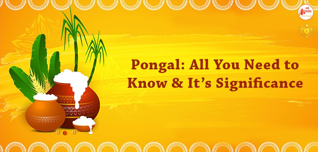 Pongal: All You Need to Know and it's Significance