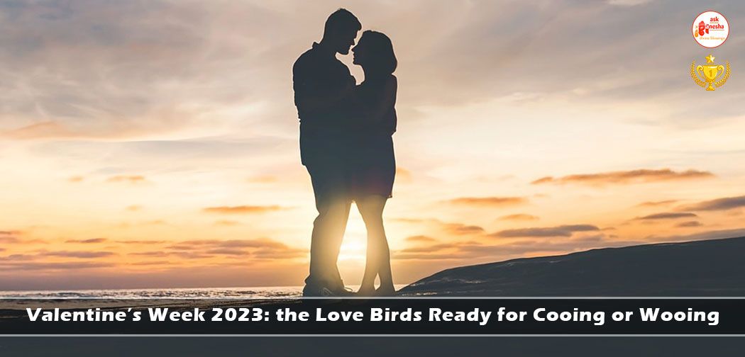 Valentine Week 2023: the Love Birds Ready for Cooing or Wooing