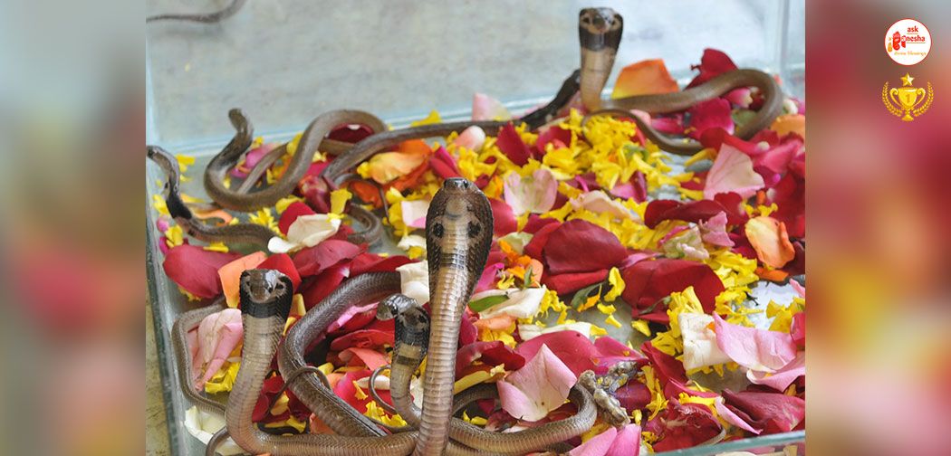 Why Snakes are worshipped in Hinduism
