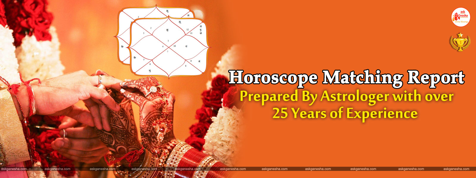 Horoscope Matching Astrology Report