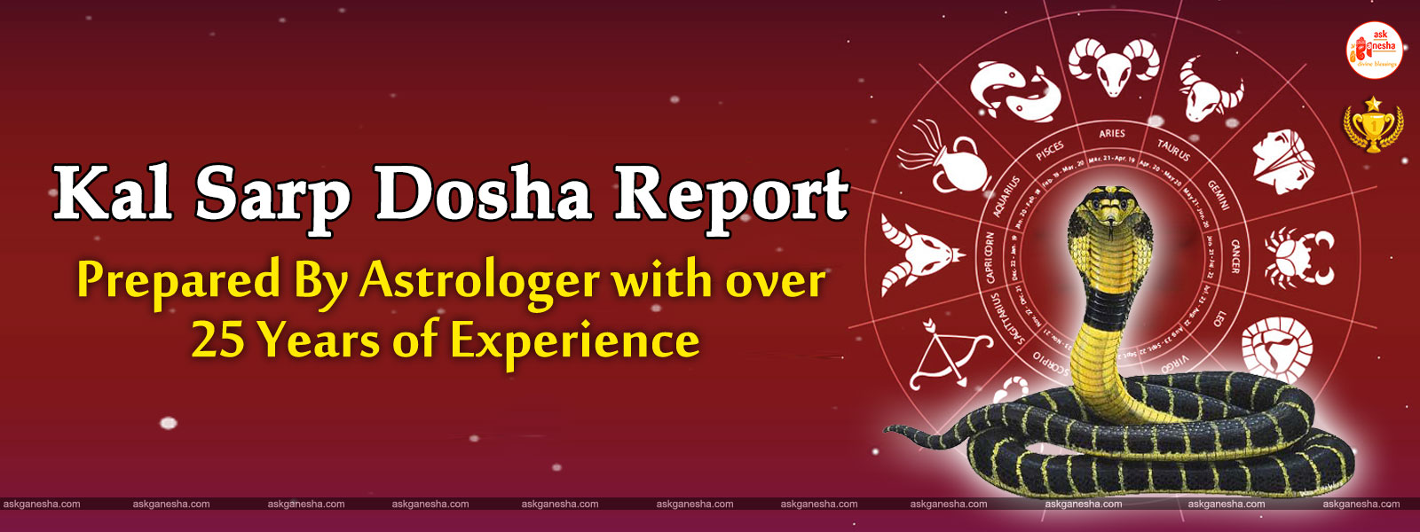 Kal Sarp Dosha Astrology Report
