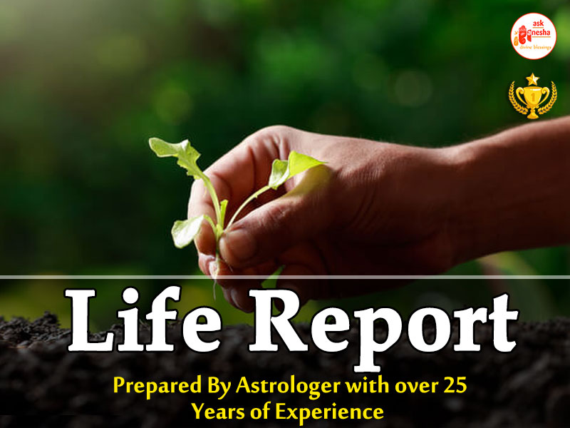 Life Astrology Report Mobile